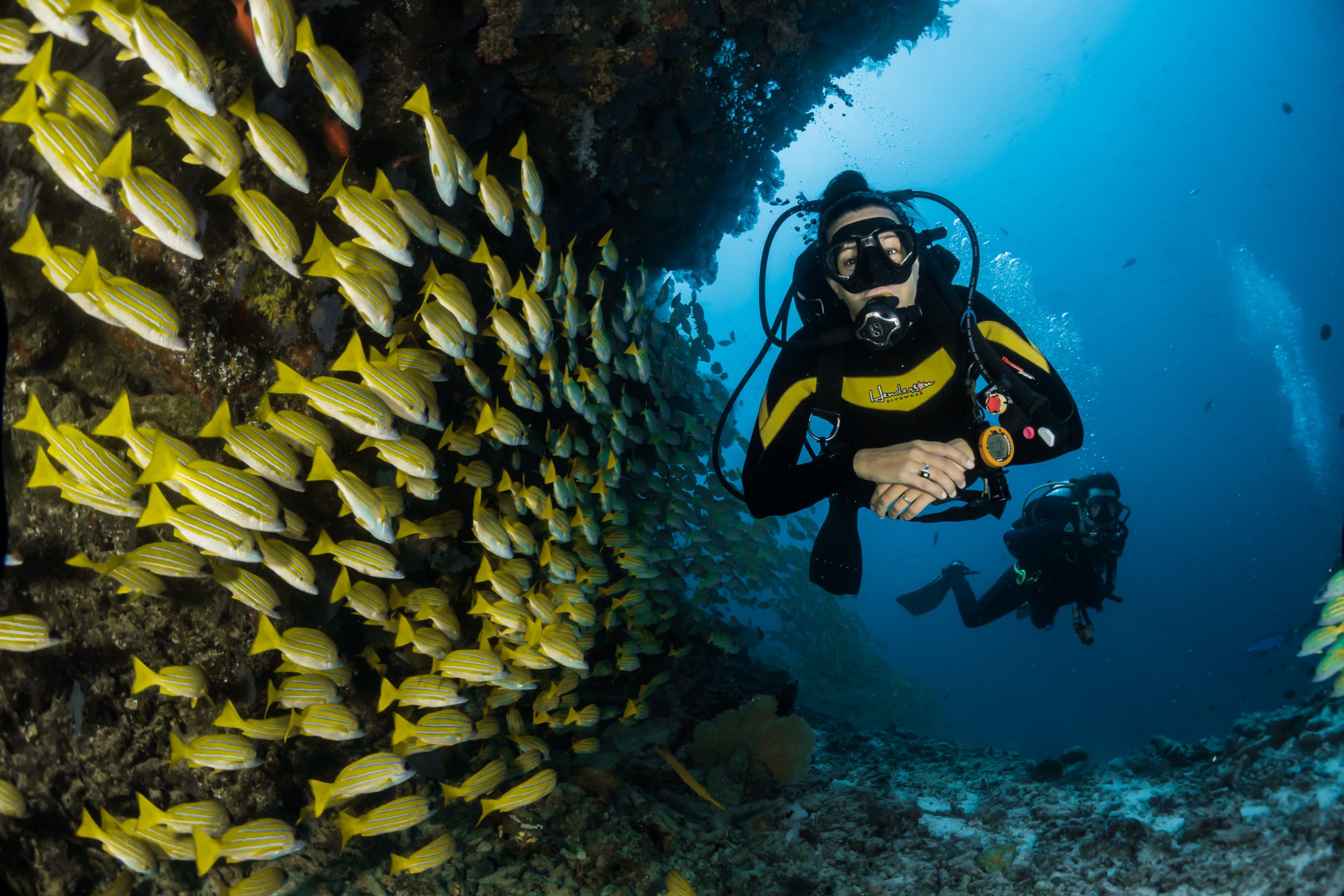 Quelles sont les meilleures destinations pour faire de la plongée sous-marine ?